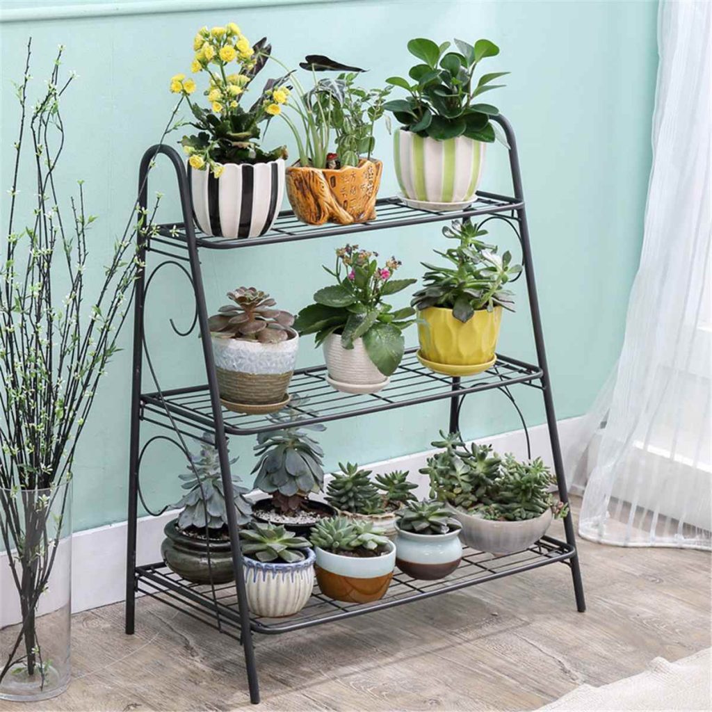 plant rack indoor