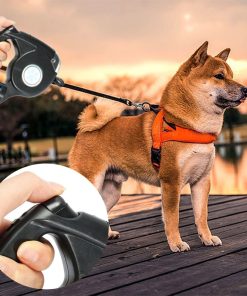 3in1 LED Retractable Dog Leash With Flashlight & Garbage Bag Holder