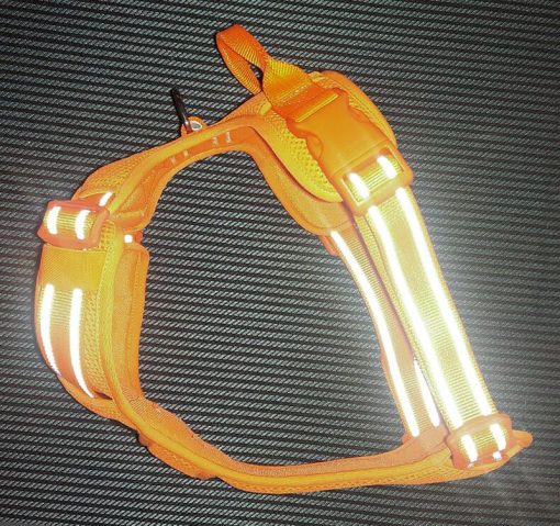 ProLite Reflective Safety Dog Harness For No Pull