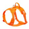 orange-dog-harness