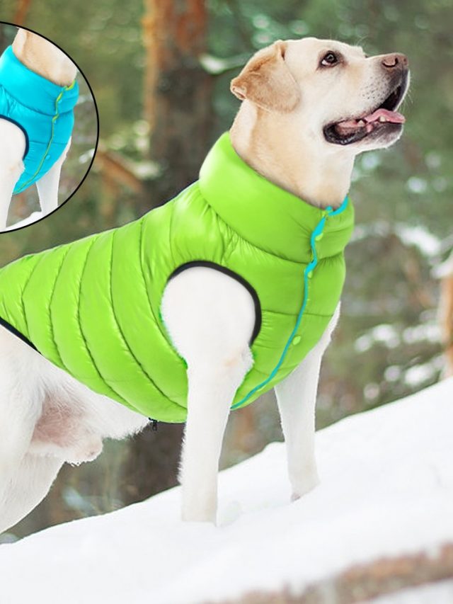 cropped-Warm-Winter-Dog-Clothes-Vest-Reversible-Dogs-Jacket-Coat-3-Layer-Thick-Pet-Clothing-Waterproof-Outfit-4.jpg