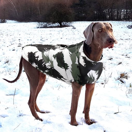 Luxy-Cozy Dog Winter Coat for Outdoors