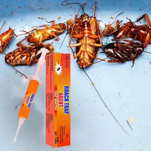 Best Roach Killers 2024